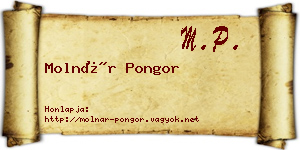 Molnár Pongor névjegykártya